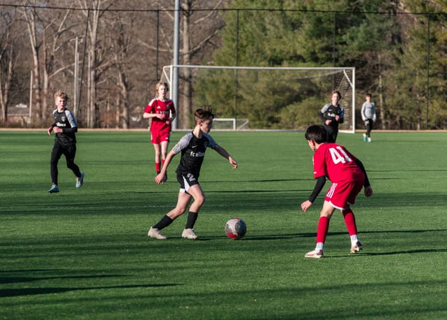 (4)FCA 2011B NL